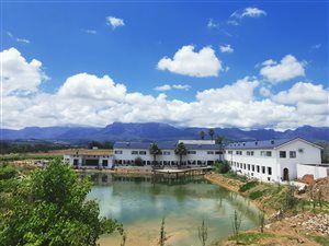8 ha Farm in Northern Paarl