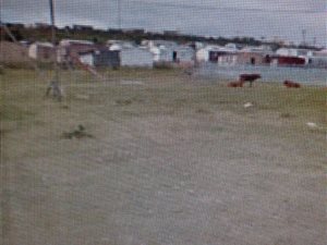 290 m² Land available in Khaya Mnandi