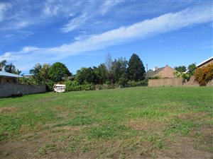 1000 m² Land available in Rooirivierrif