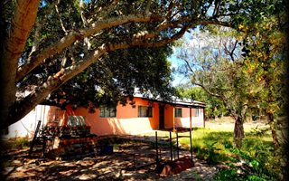 8.5 ha Farm in Tweefontein