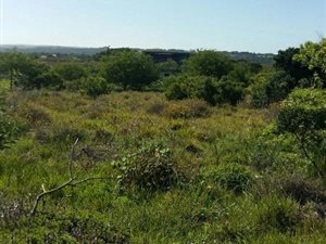874 m² Land available in Riversbend