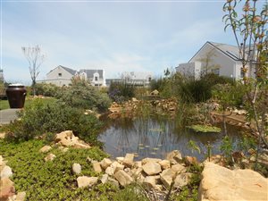 753 m² Land available in Westcliff