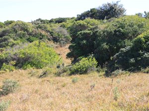 1.6 ha Land available in Kaysers Beach