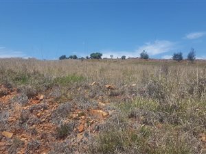 984 m² Land available in Dullstroom