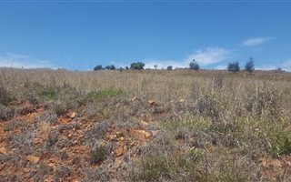 984 m² Land available in Dullstroom