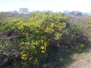 651 m² Land available in Boggomsbaai