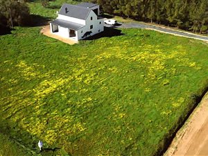 1 Bed House in Aurora