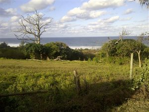 4064 m² Land available in Bazley Beach