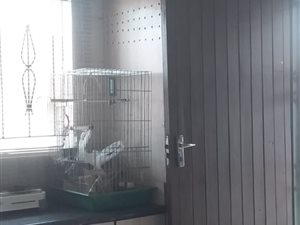 2 Bed House in Ebony Park