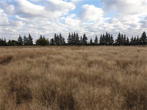 1030 m² Land available in Kimberley