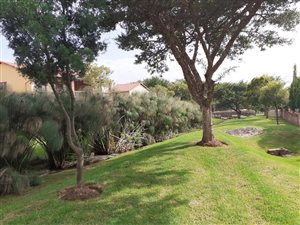 2 Bed Apartment in Willowbrook