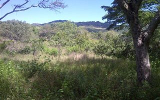 400 m² Land available in Hectorspruit