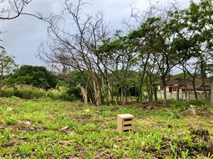 731 m² Land available in Melville