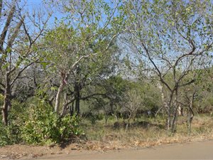 1487 m² Land available in Komatipoort
