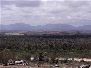 268 ha Farm in Albertinia