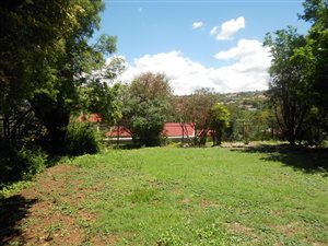 4 Bed House in Winchester Hills