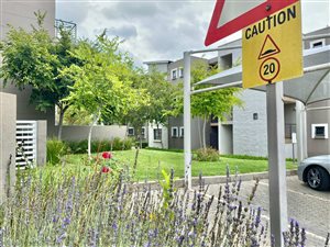 Studio Apartment in Dainfern