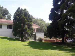 4 Bed House in Woodside