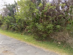 7617 m² Land available in Sea Park