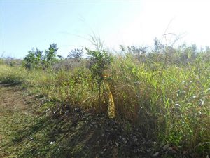 1607 m² Land available in Bazley Beach