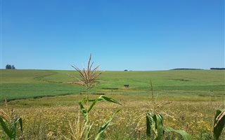 1.4 ha Land available in Greytown