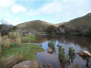 2825 ha Farm in Clanwilliam