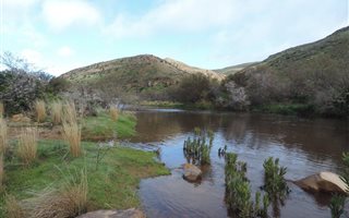 2825 ha Farm in Clanwilliam