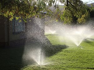 2825 ha Farm in Clanwilliam