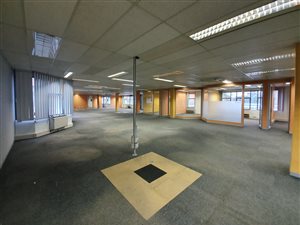 1118 m² Commercial space in Bedfordview