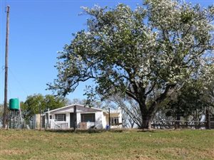 178 m² Farm in Komga