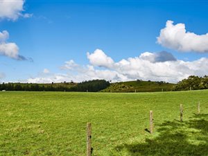 5600 m² Land available in Atholl