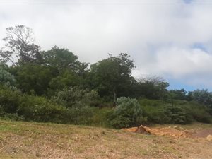 4657 m² Land available in Wyebank