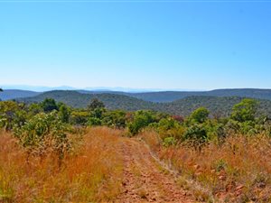 3787 ha Farm in Rooiberg