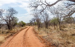 2.9 ha Land available in Thabazimbi
