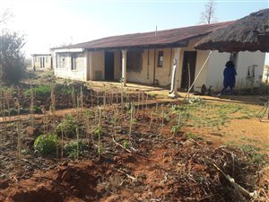 3 m² Farm in Diepkloof
