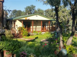 21 ha Farm in Dinokeng