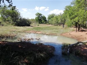 8 ha Farm in Rooiberg