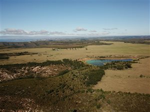 595 ha Farm in Plettenberg Bay Rural