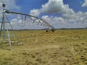 300 ha Farm in Bloemfontein Rural