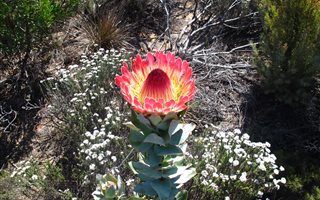 1800 ha Land available in Montagu