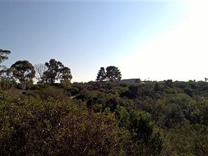 1942 m² Land available in Schoongezicht