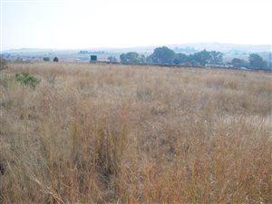 1.1 ha Land available in Doornrandje