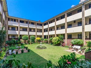 1 Bed Apartment in Musgrave