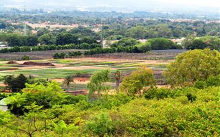 2.9 ha Farm in The Orchards