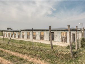 66 ha Farm in Port Elizabeth Central