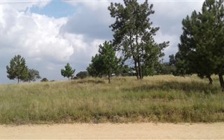 2 ha Land available in Nooitgedacht