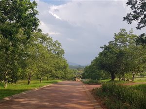 592 m² Land available in Nelspruit