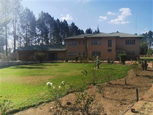 2 ha Farm in Miravaal