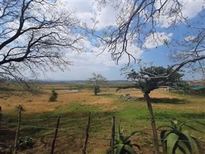102 ha Farm in Pietermaritzburg Central