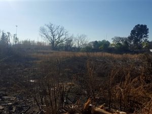 2339 m² Land available in Middelburg South
